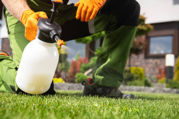 Best Cockroach Control Services  in Seville, OH