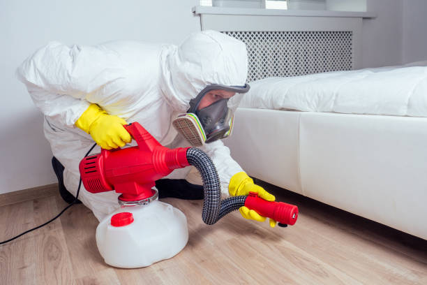 Best Wasp Removal Services  in Seville, OH